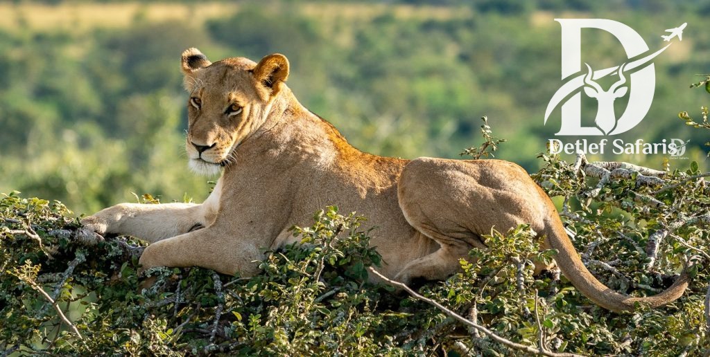 Akagera National Park, Rwanda