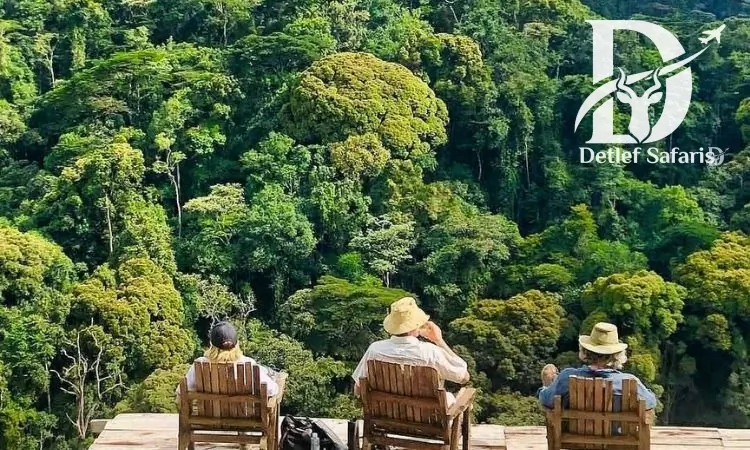 Overlooking Bwindi Impenetrable Forest