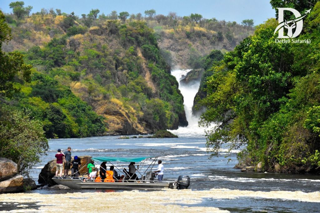 7 Days Uganda Wildlife Safari