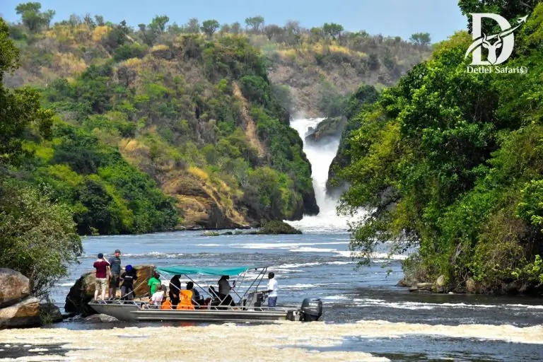 7 Days Uganda Wildlife Safari