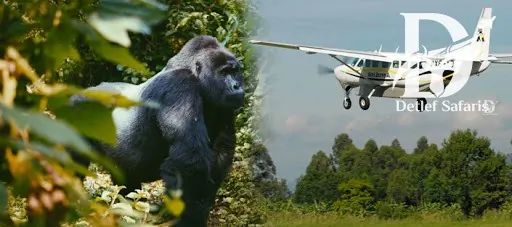 4 Days Bwindi Gorilla Trekking Safari