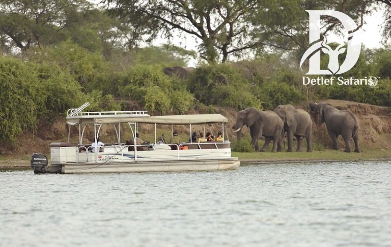 Queen Elizabeth national park