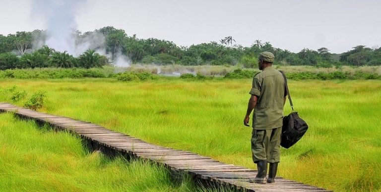 Semuliki National Park landscape, Uganda