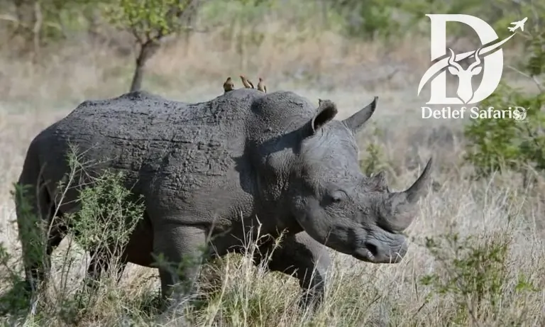12 Days Uganda Adventure