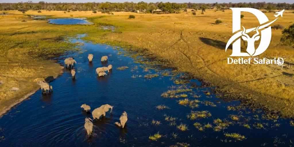 Uganda & Kenia Safari: Welches Land ist besser?