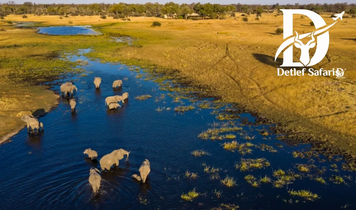 Uganda & Kenia Safari: Welches Land ist besser?
