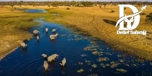 Uganda & Kenia Safari: Welches Land ist besser?