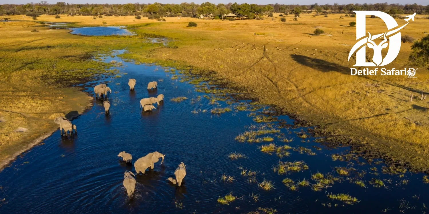 Uganda & Kenia Safari: Welches Land ist besser?