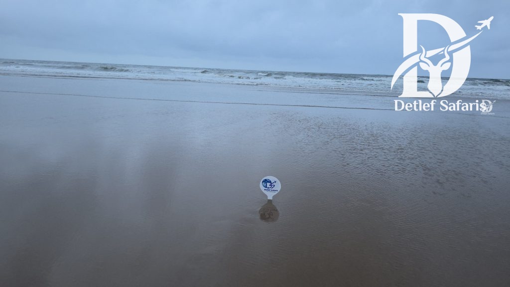 Detlef Safaris flag on the beach shoreline