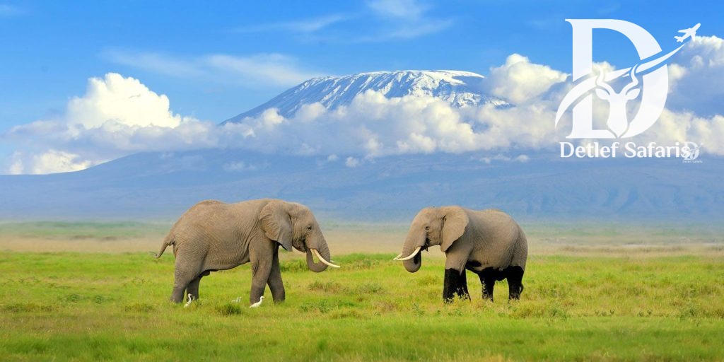 Amboseli National Park, Kenya