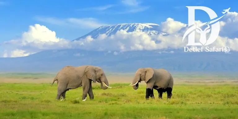 Amboseli National Park