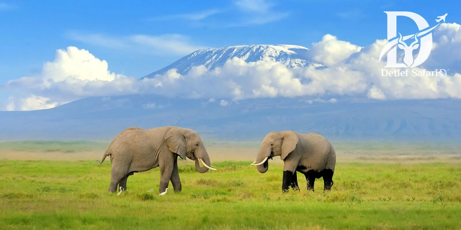Amboseli National Park, Kenya