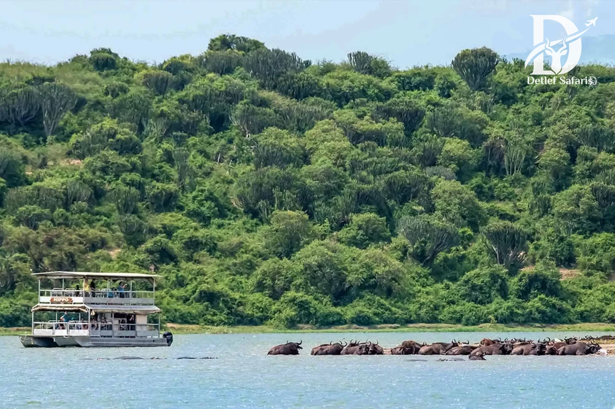Boat cruise on the Kazinga Channel, Queen Elizabeth National Park