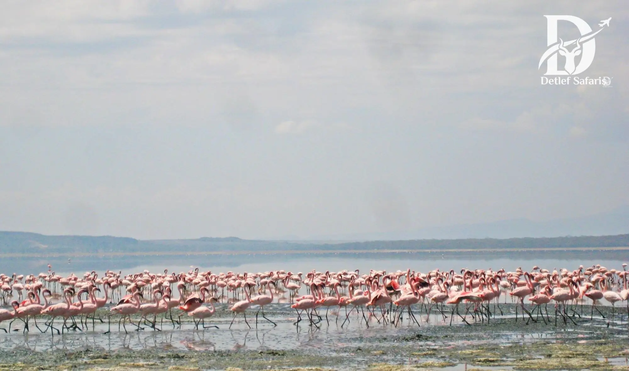 Lake Nakuru National Park, Kenya