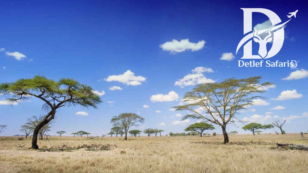 Tanzania Serengeti
