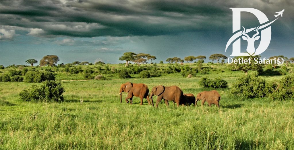 Tarangire National Park, Tanzania