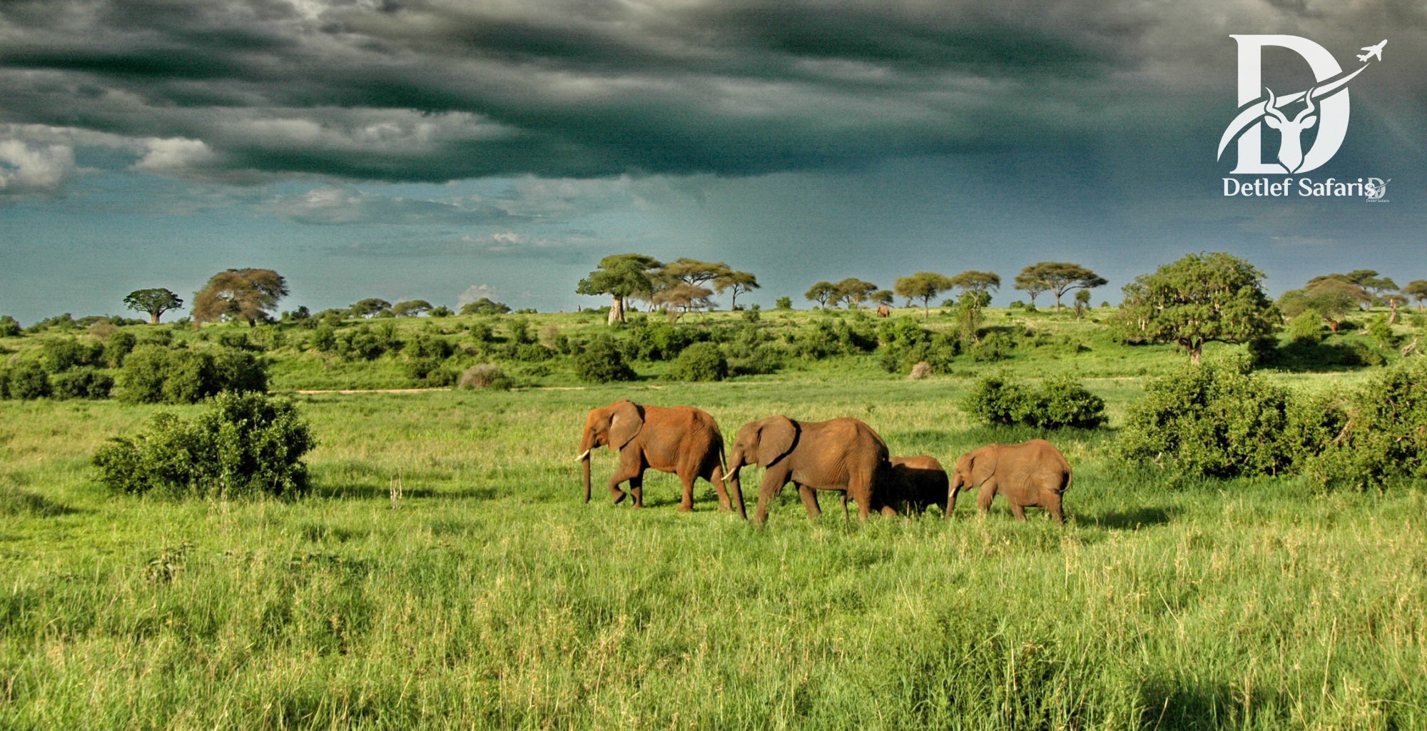 Tarangire National Park, Tanzania