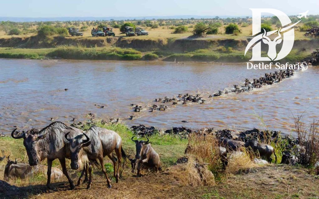 Great Migration