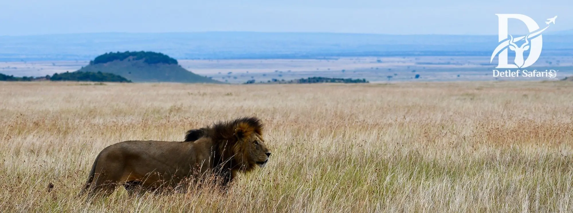 Maasai Mara Game Reserve, Kenya