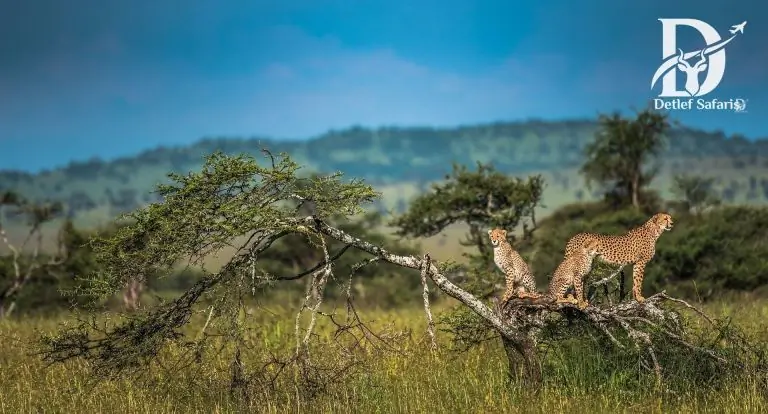 Serengeti National Park