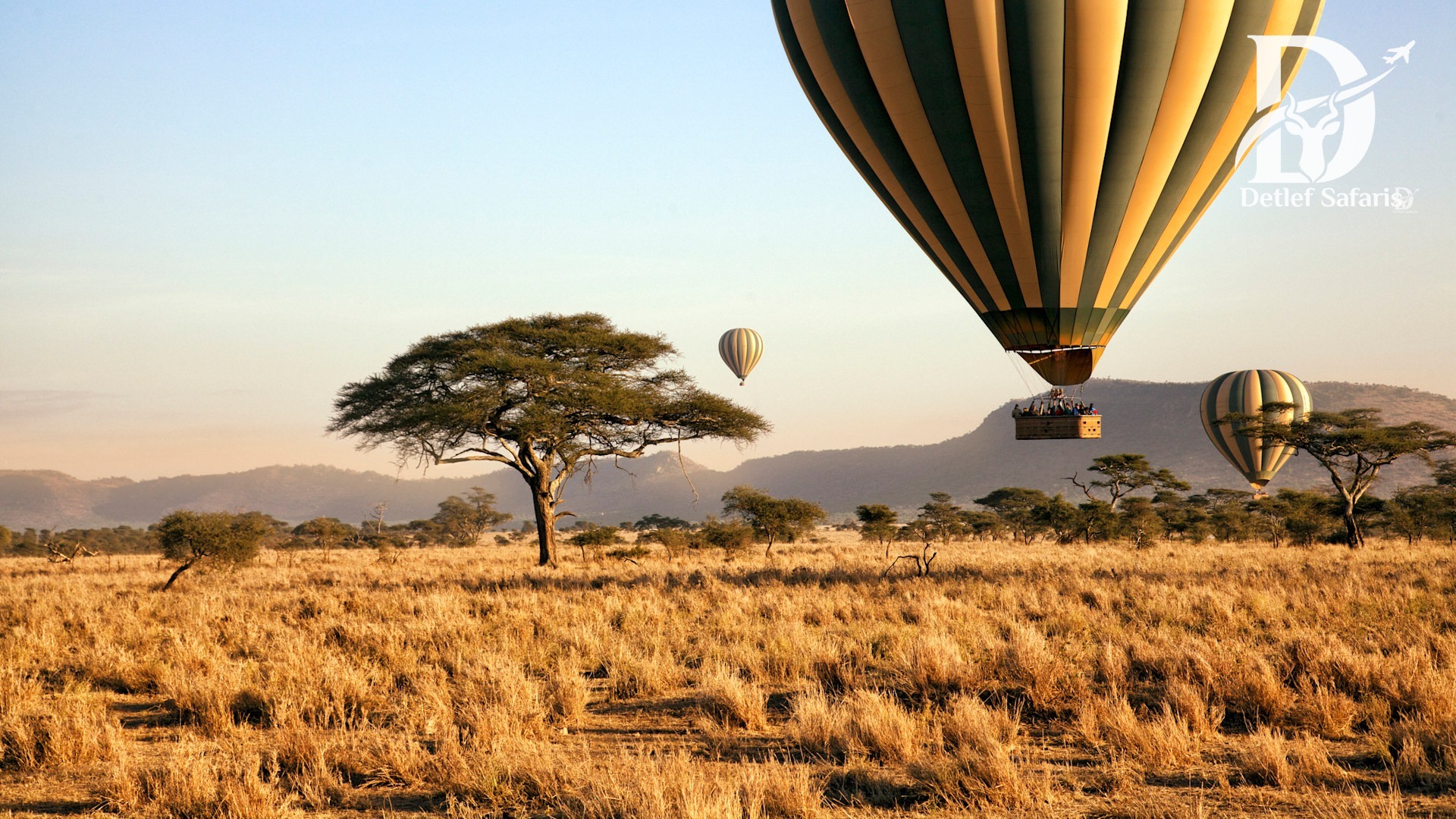 Tanzania Safaris
