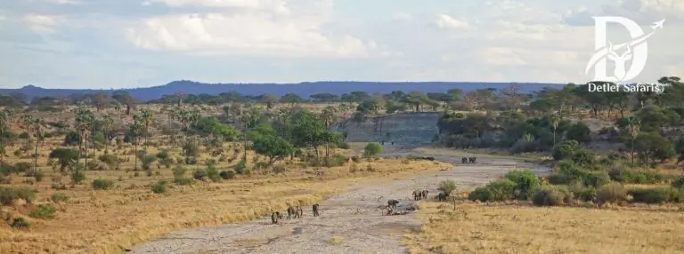 Tarangire National Park
