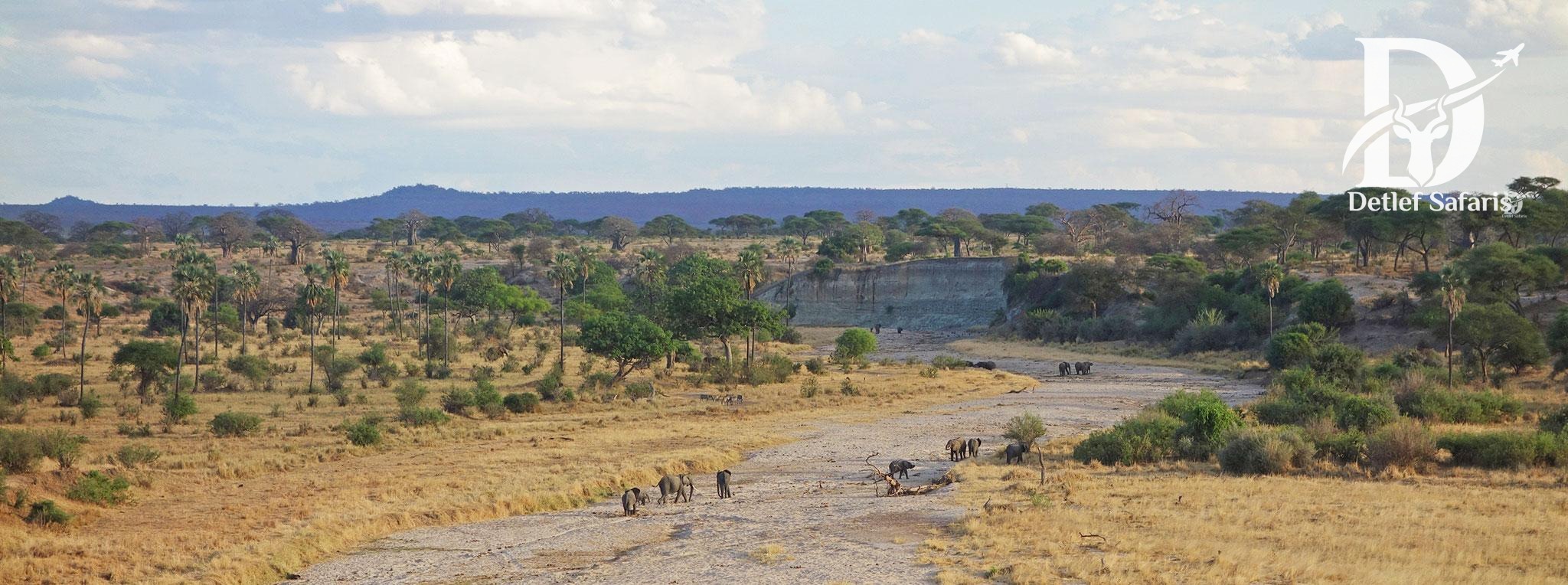 Tarangire National Park