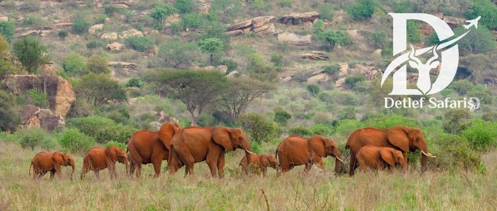 Tsavo National Park, Kenya