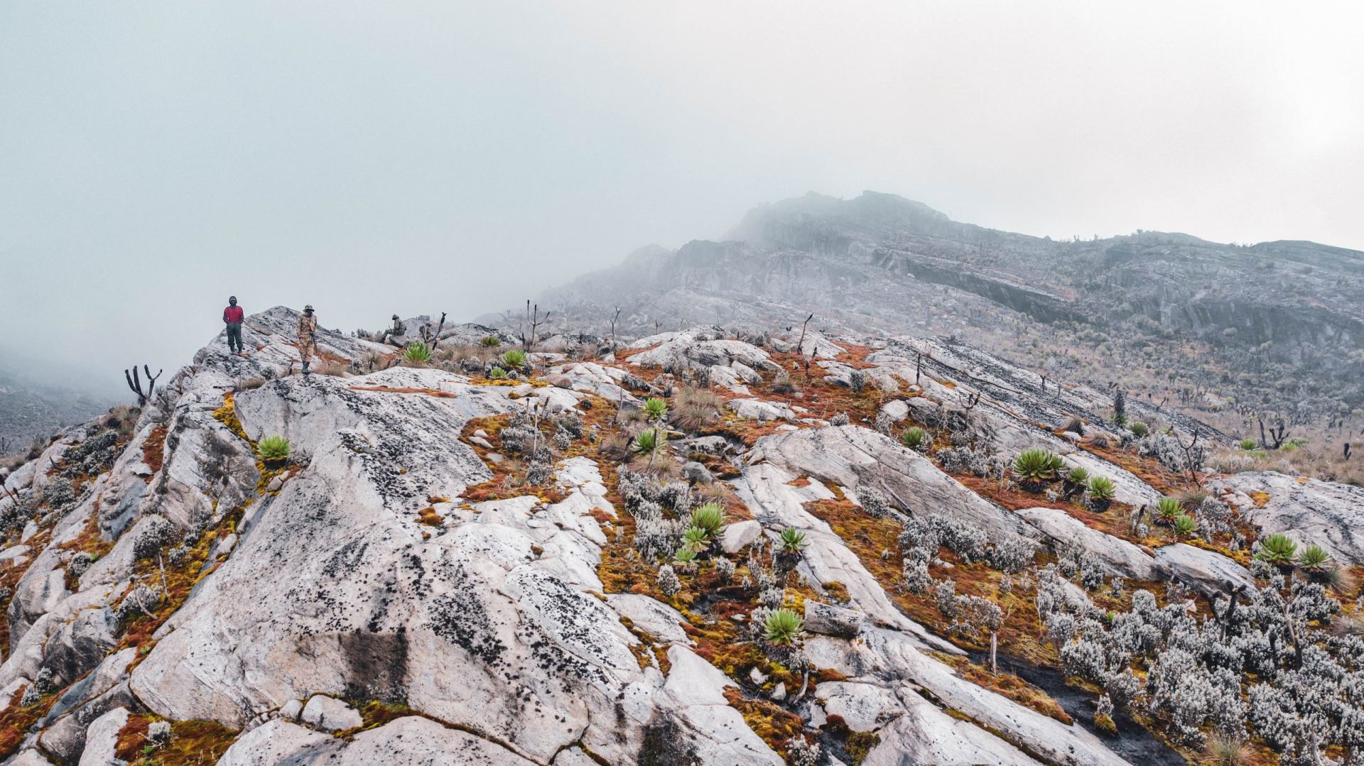 Rwenzori Mountains ridge