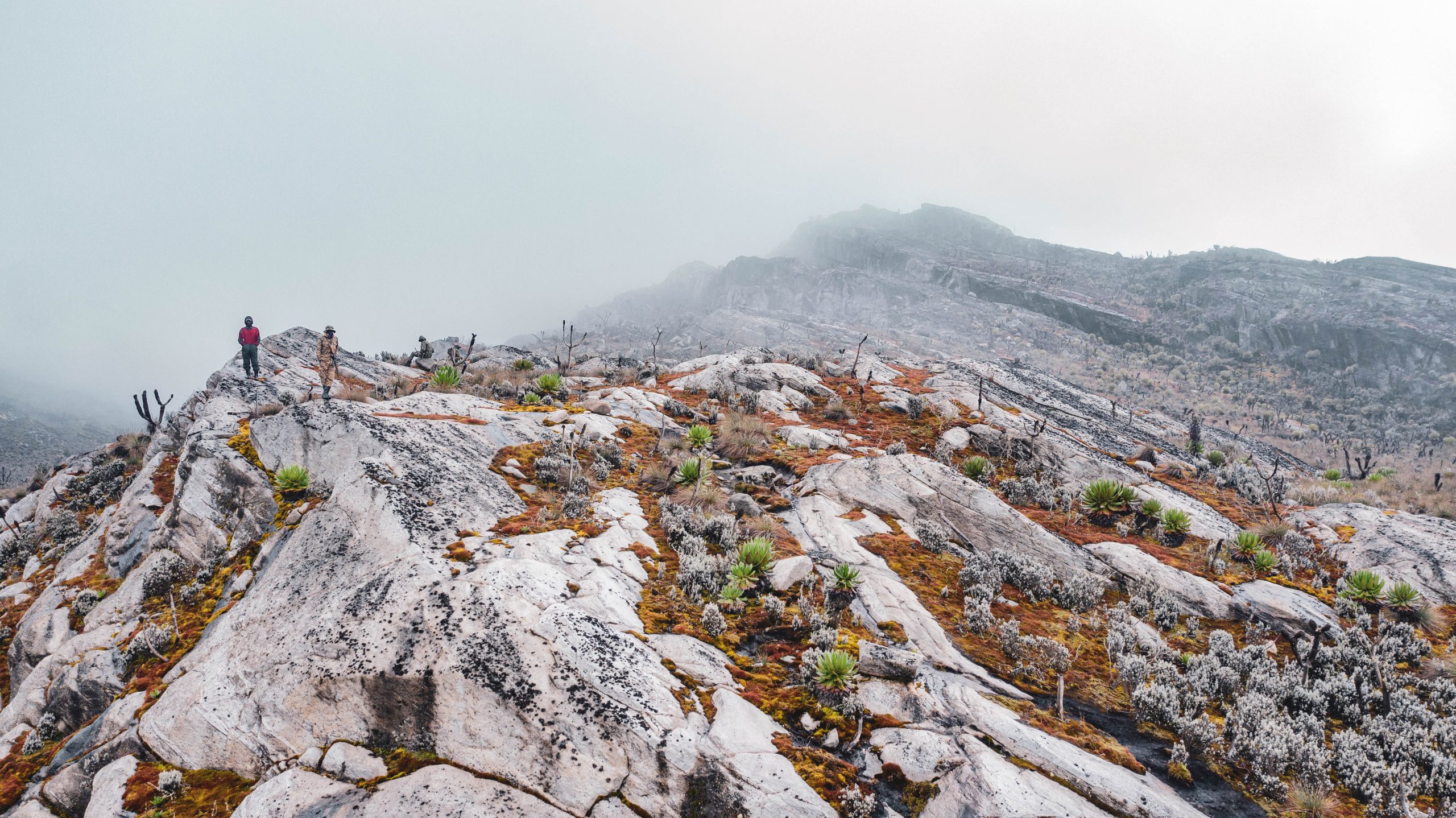 Trekkers on a misty mountain ridge in East Africa