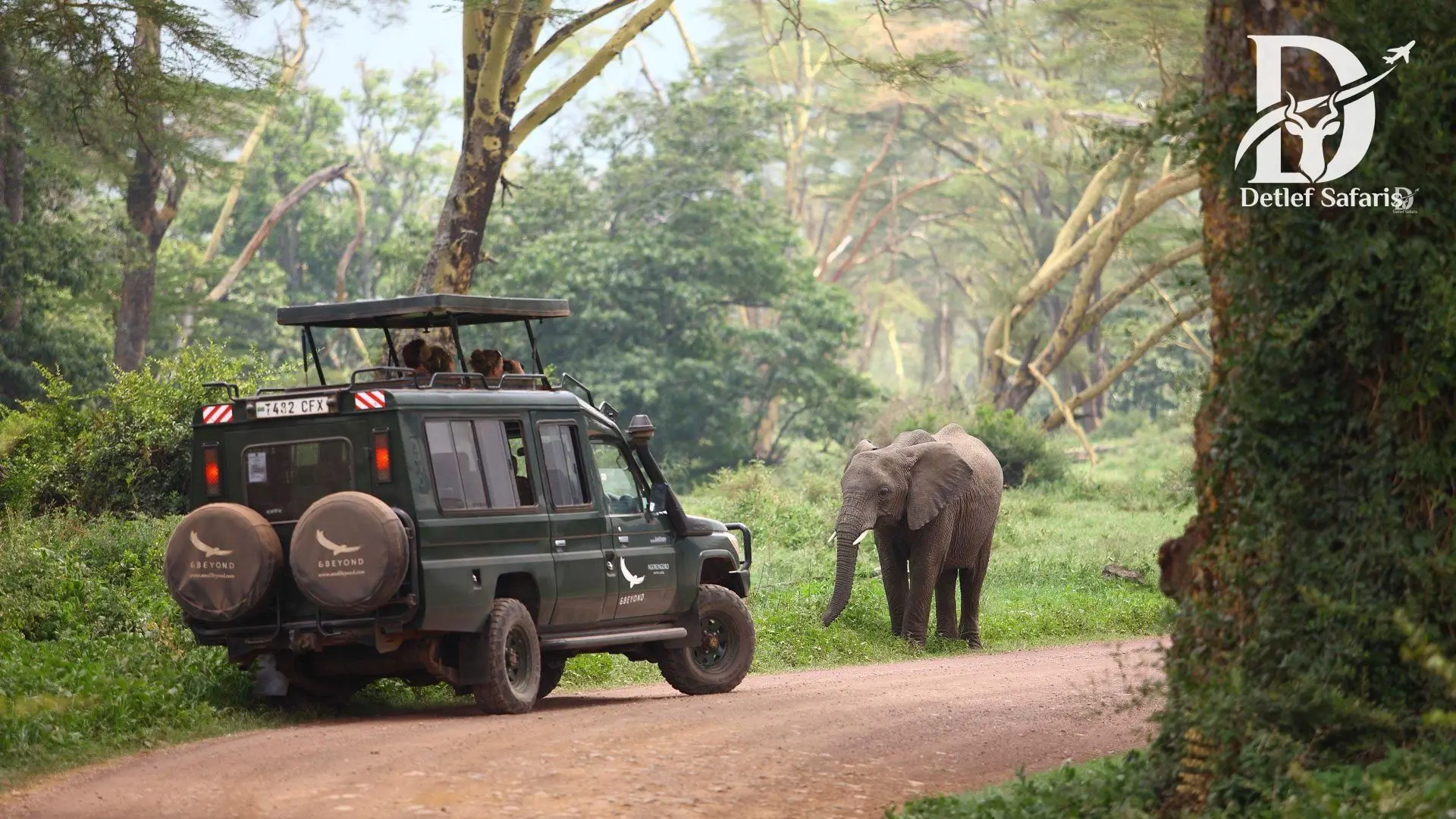 Safari vehicle passing an elephant on the Ngorongoro Crater floor