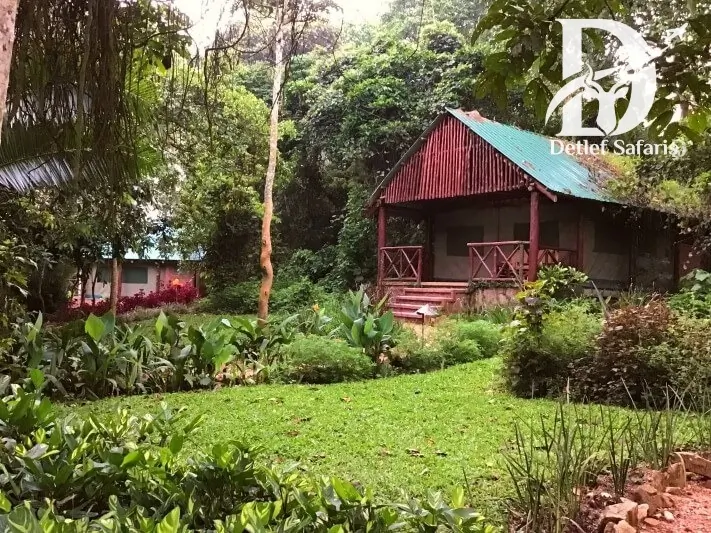 Kibale Forest Camp