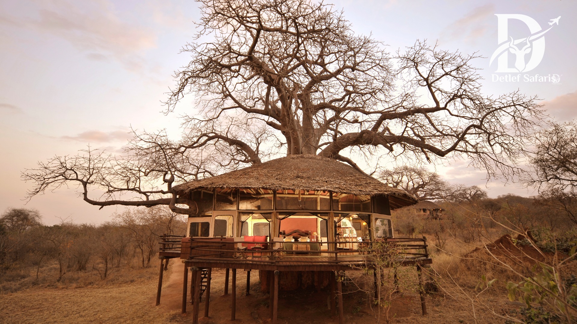 Tarangire Treetops Lodge suite set beneath baobab trees, Tarangire National Park, Tanzania