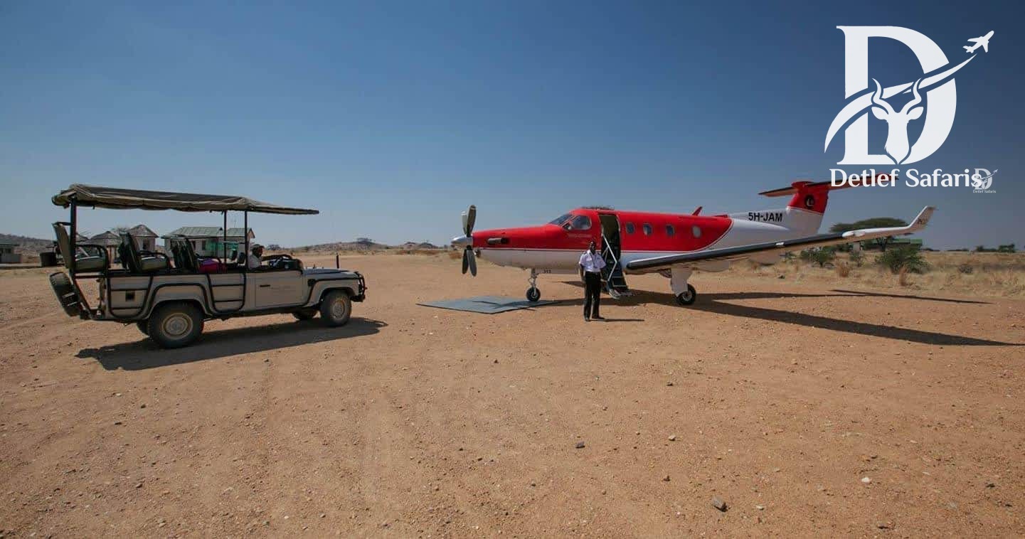 Safari vehicle meeting a light aircraft on a Serengeti airstrip