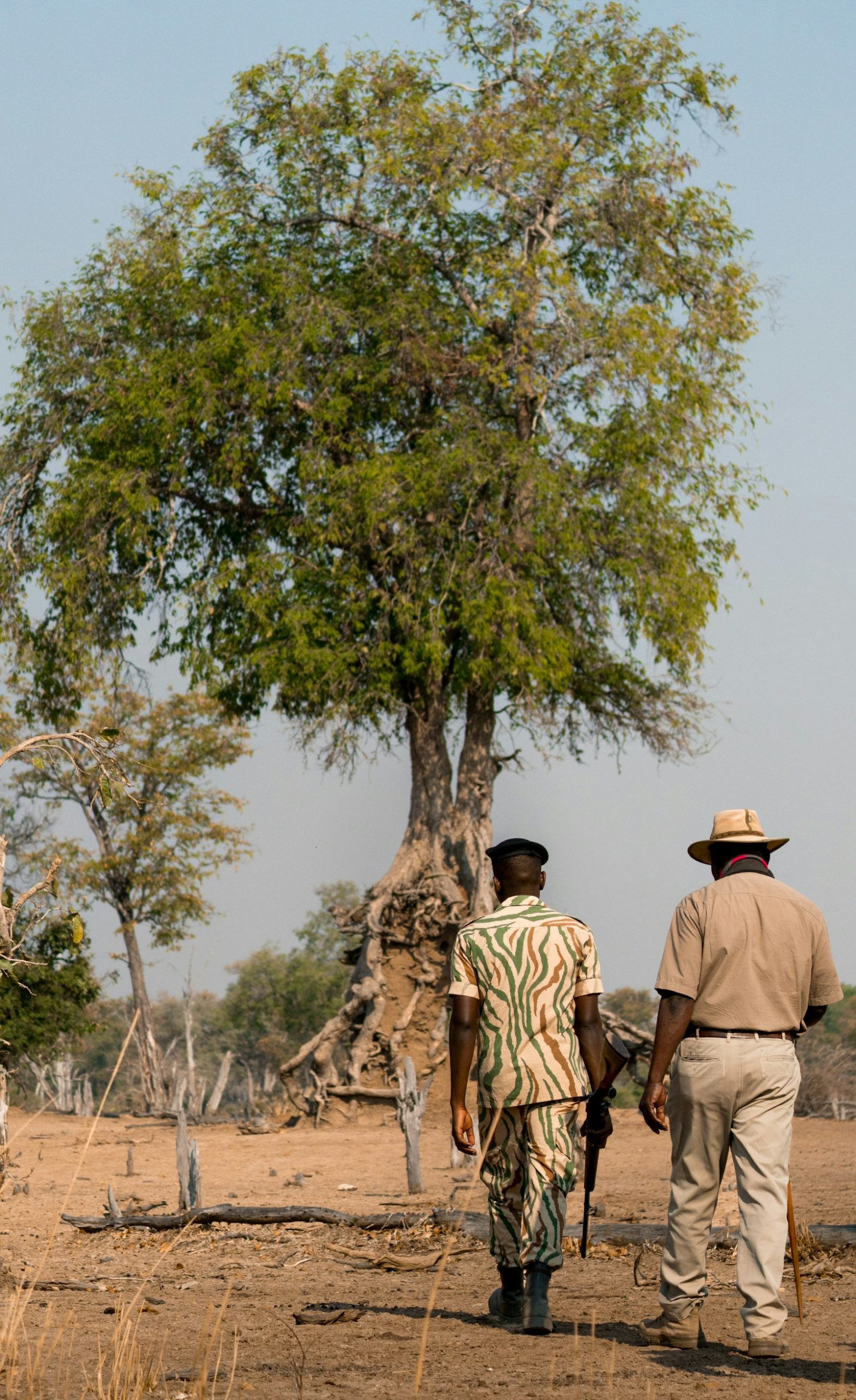 Ranger and guest on a guided walking safari, Kenya