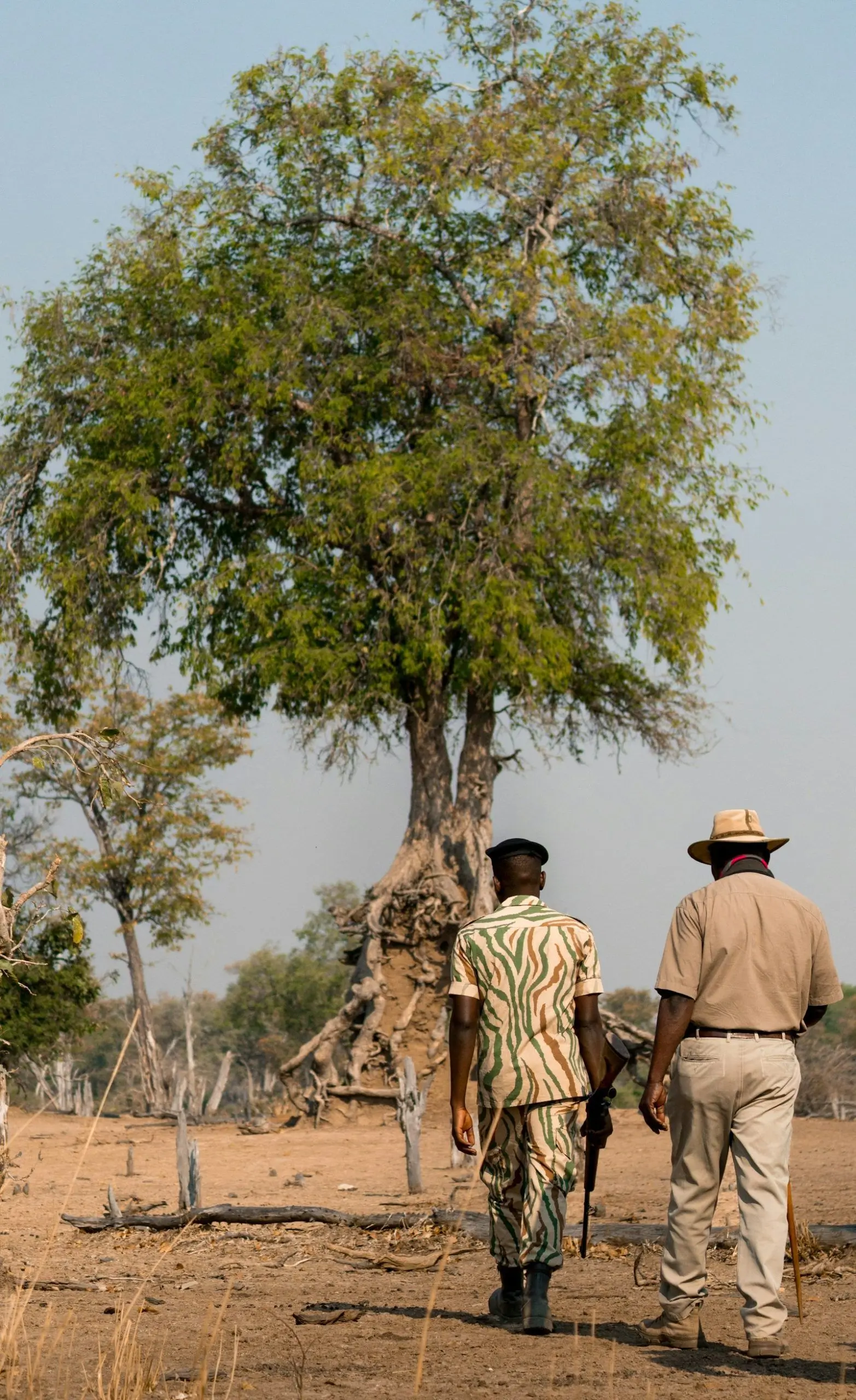 Adventure Safaris