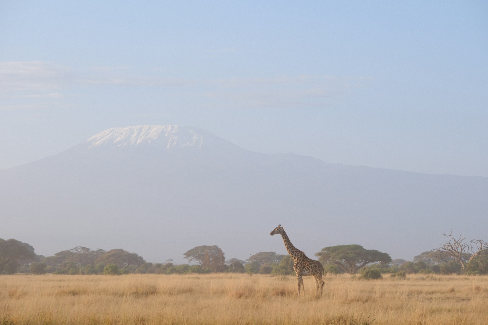Amboseli National Park