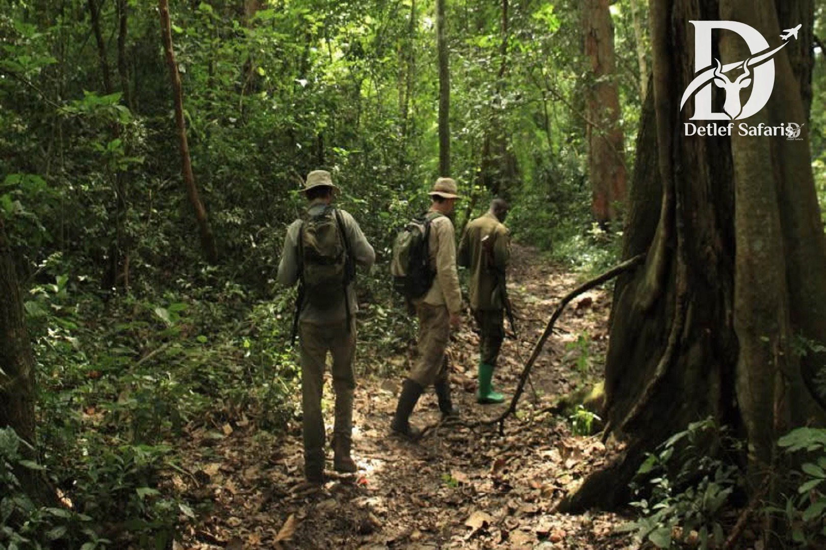 Guided nature walk on the Kirumia Trail, Semuliki National Park