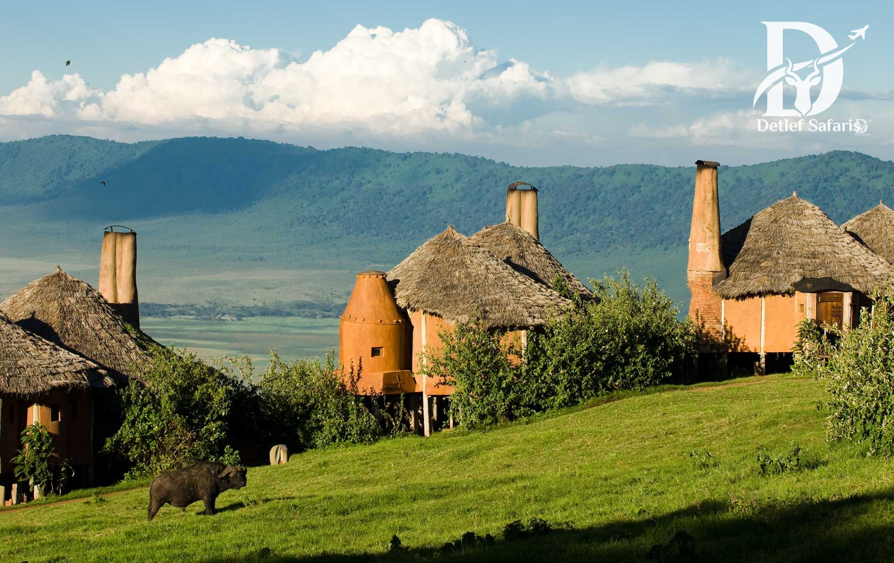 Ngorongoro Crater Lodge thatched chandelier-lit suites on the crater rim, Ngorongoro Crater, Tanzania