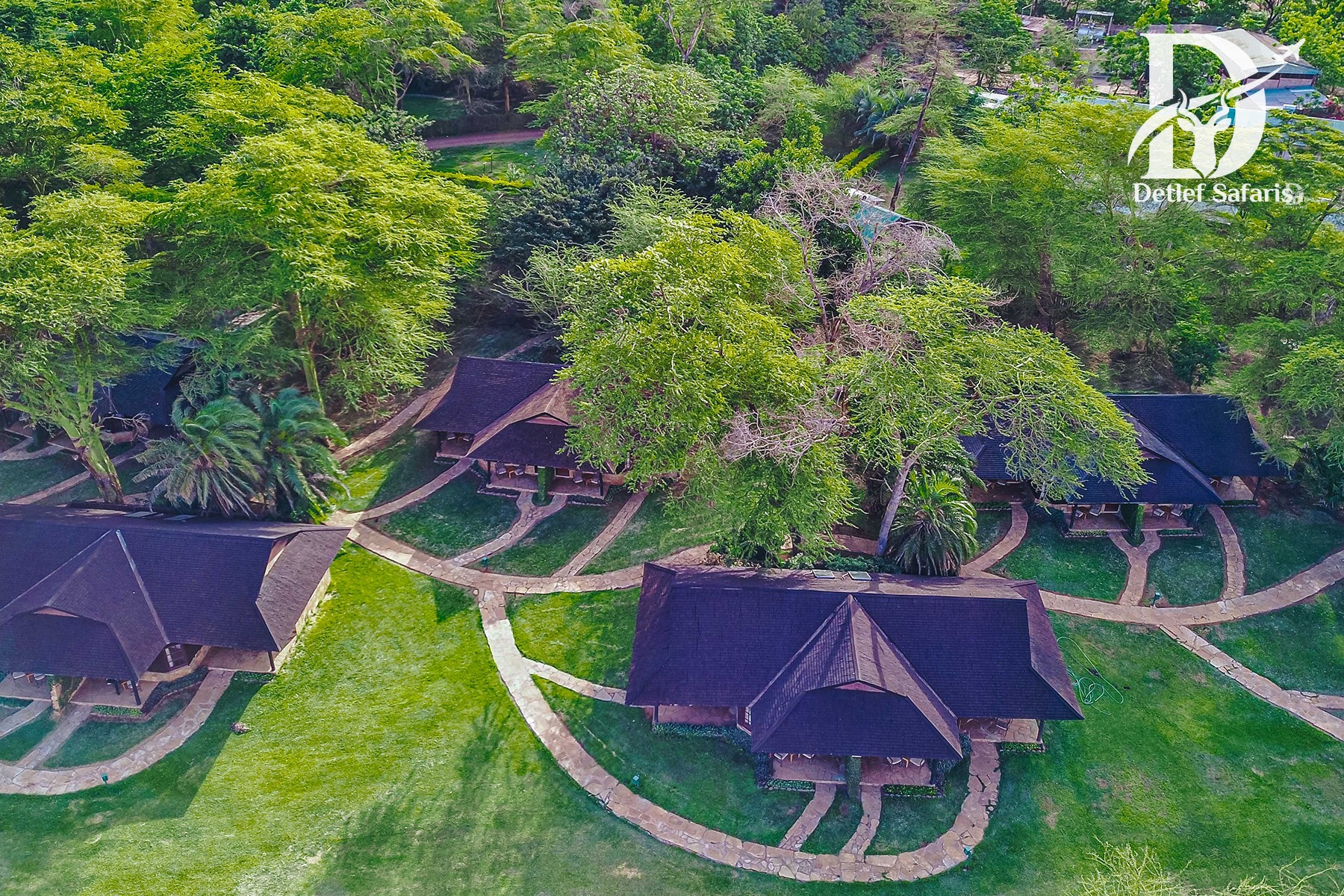 Ol Tukai Lodge set among fever trees with Mount Kilimanjaro behind, Amboseli National Park, Kenya
