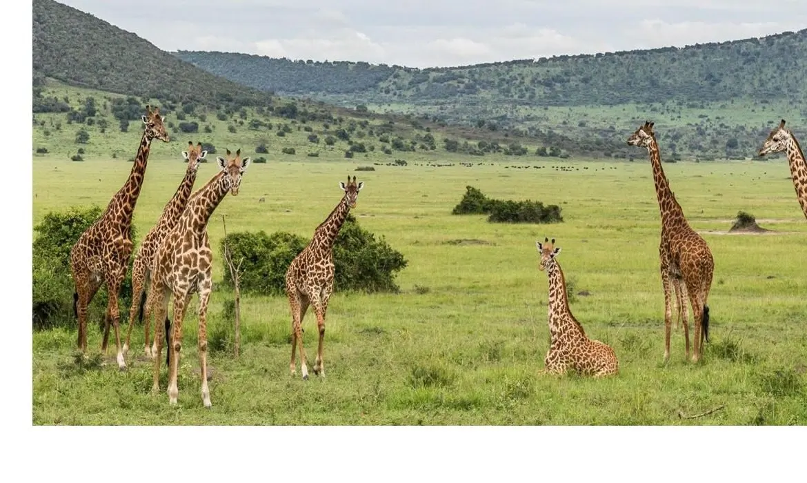 Akagera National Park