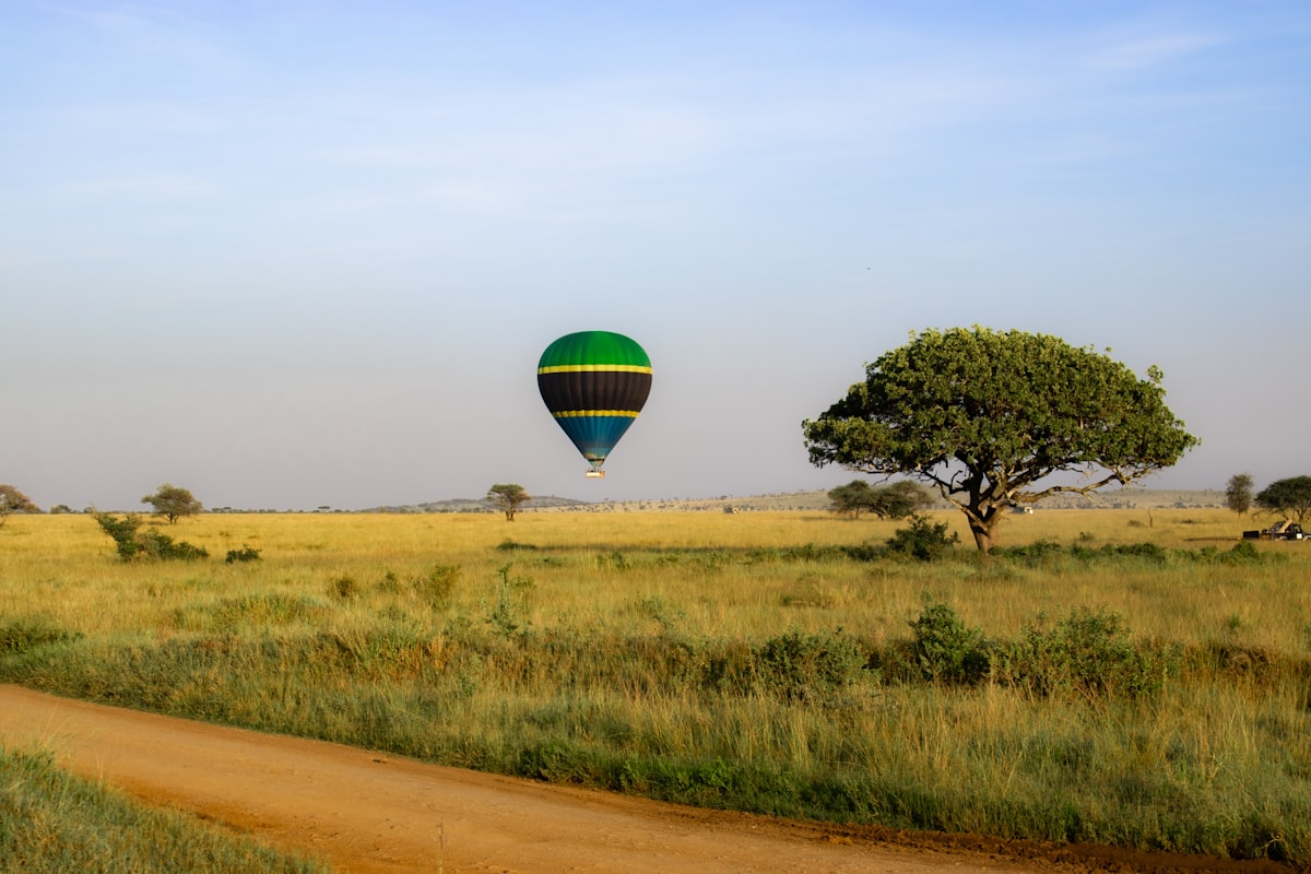 Hot air balloon drifting over the acacia-dotted plains of the Serengeti, Tanzania