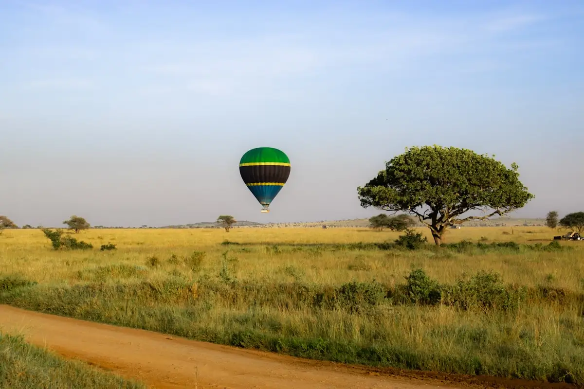 Hot air balloon drifting over the acacia-dotted plains of the Serengeti, Tanzania