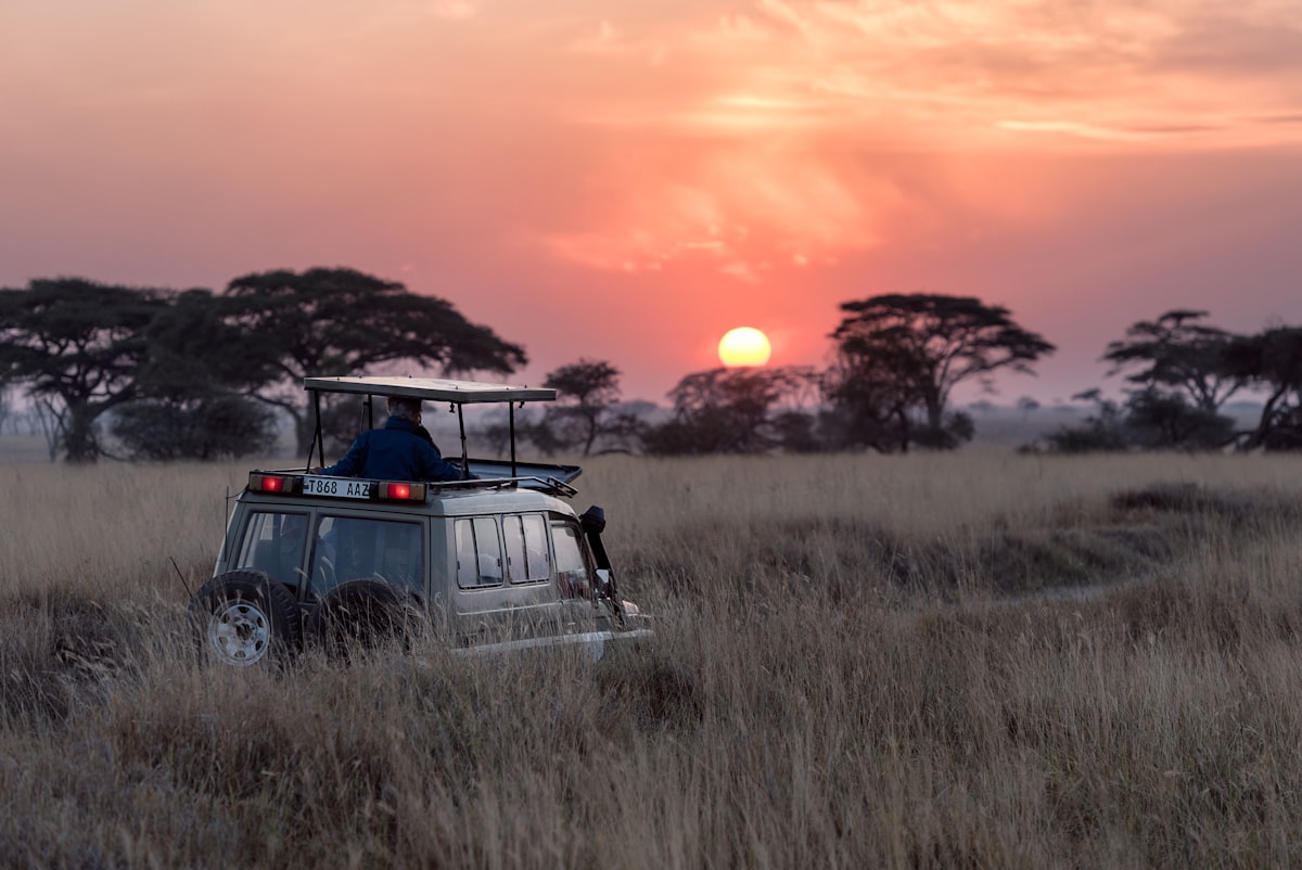 Safari vehicle on a game drive at sunrise in the Serengeti, Tanzania