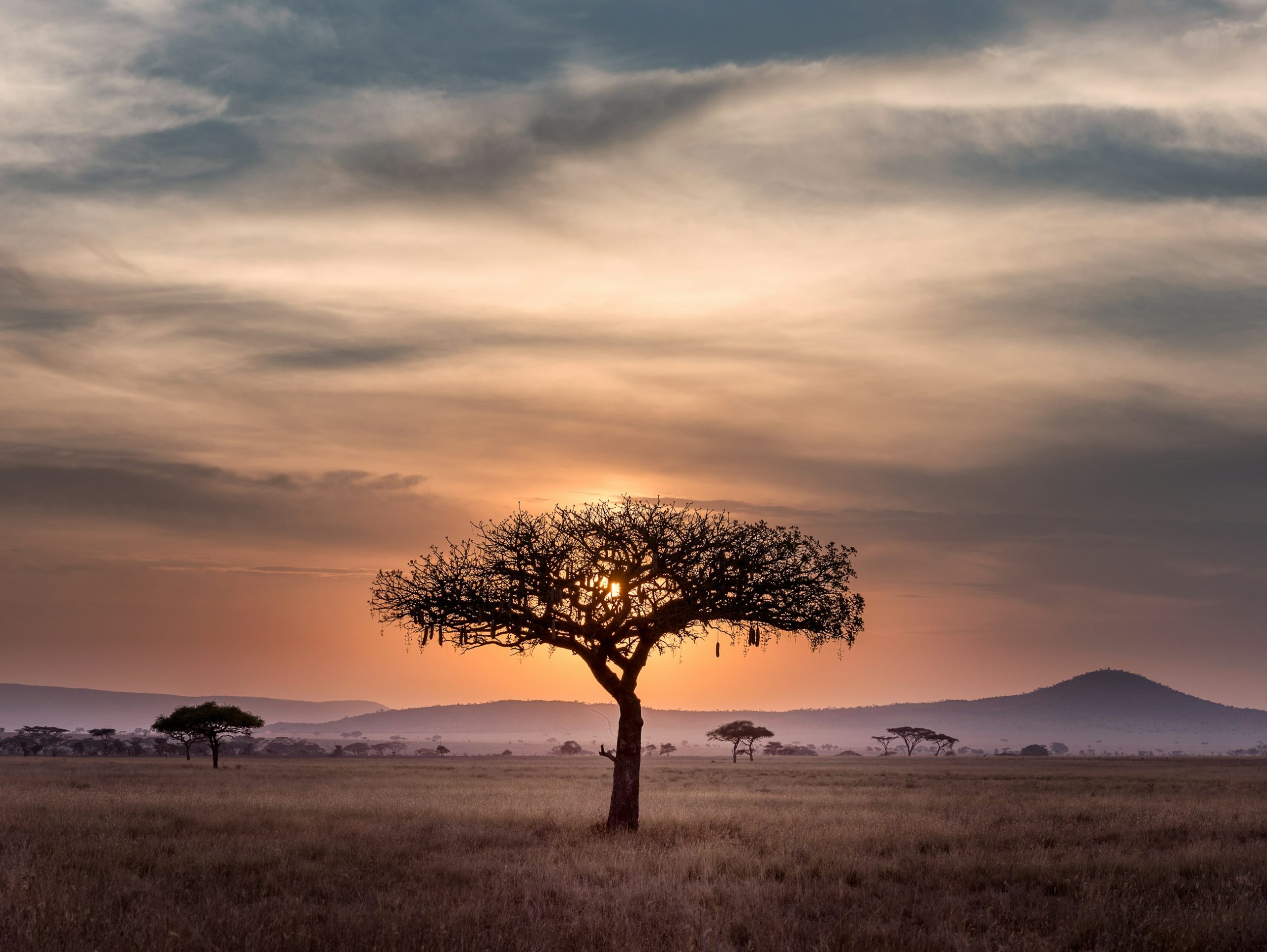 Uganda Safaris