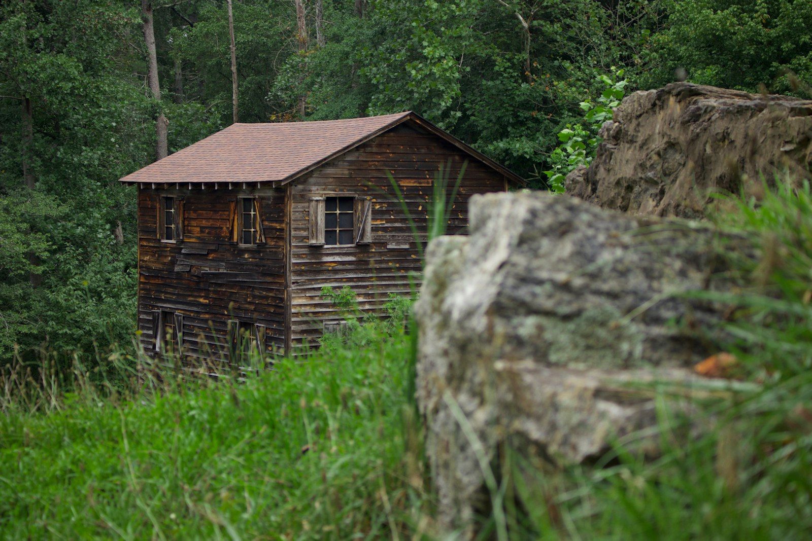 Buhoma Lodge cabin on the edge of Bwindi Impenetrable Forest, Uganda
