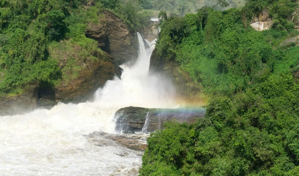 Best Time to Visit Uganda: 6 Smart Travel Windows