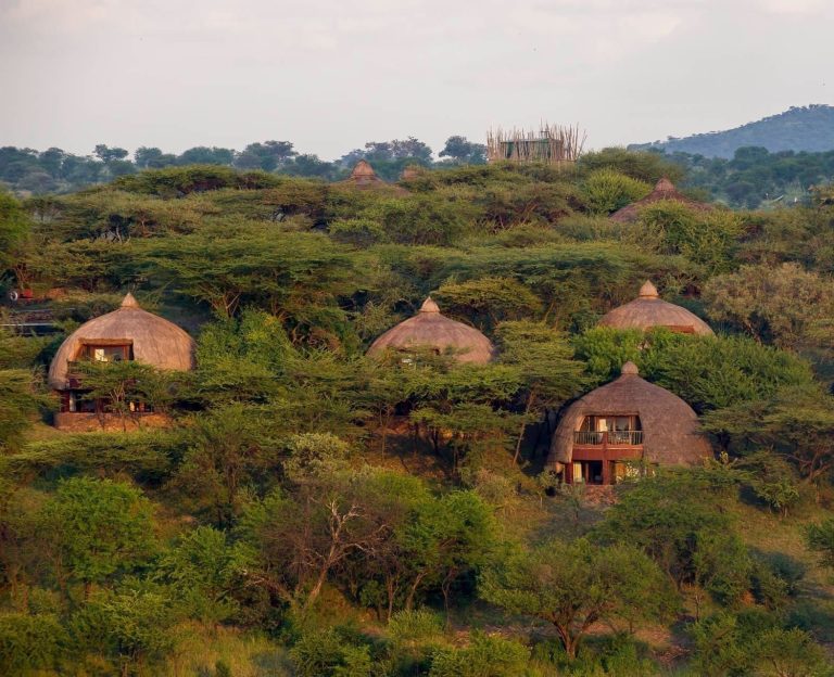 Serengeti Serena Safari Lodge