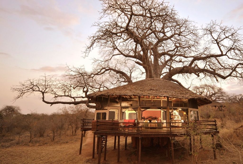 Tarangire Treetops Lodge